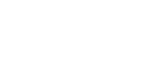 Nurit VGP Nurit 3M48 Nurit 2LV 48